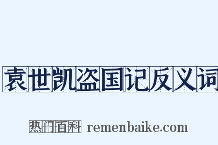 袁世凯盗国记反义词是什么意思的图片